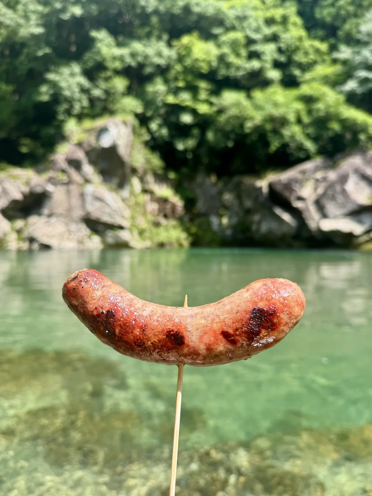 岐阜県産ジビエソーセージ